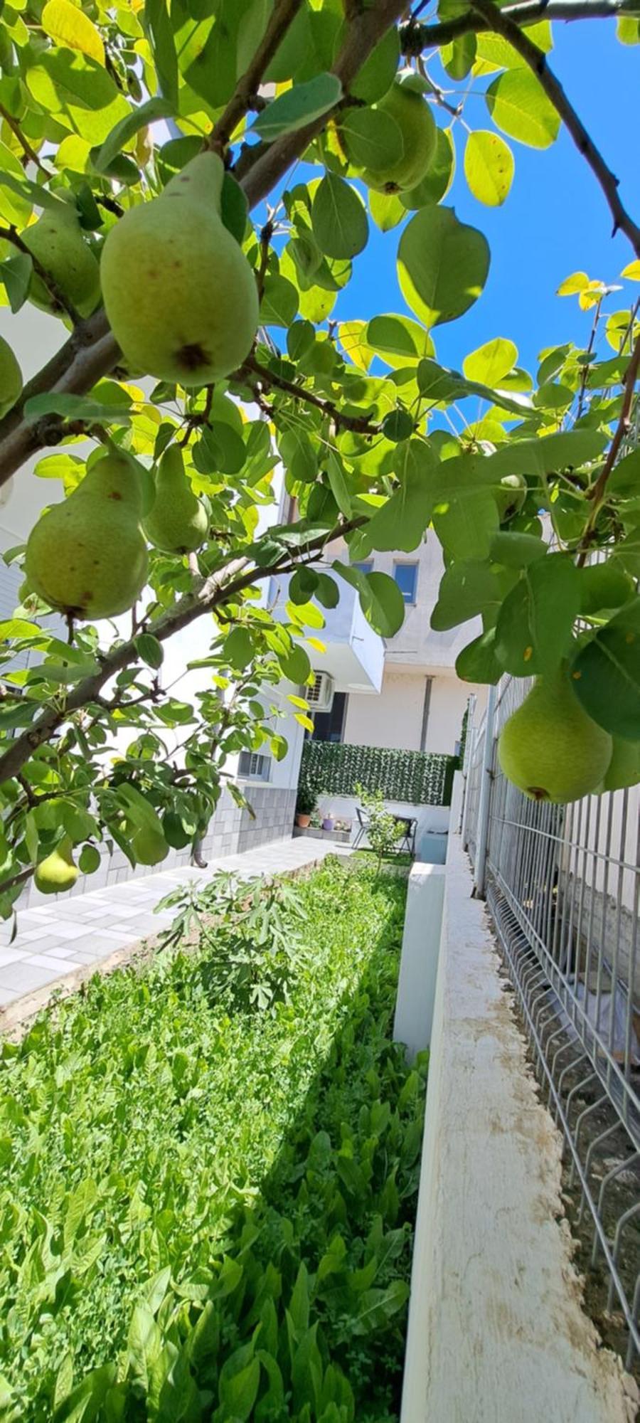 Villa Likaj Берат Номер фото